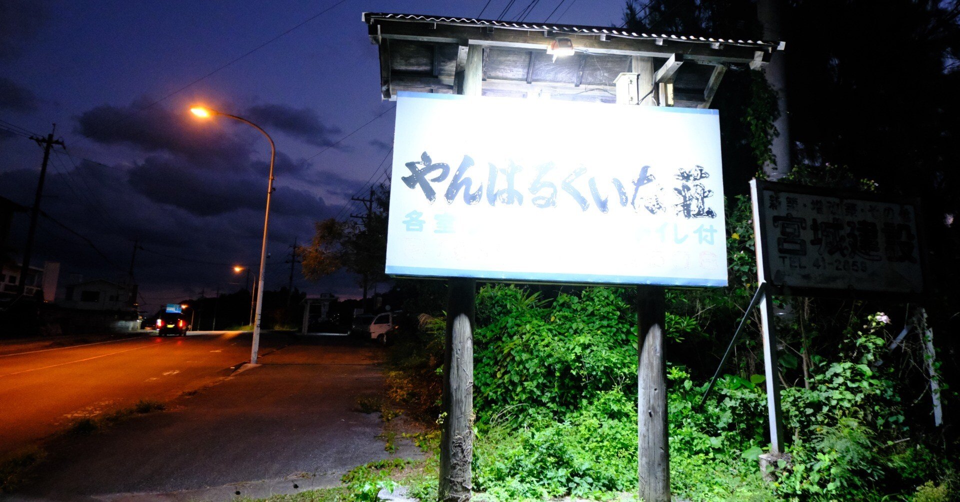 やんばるくいな やんばるくいな様専用 【公式通販】