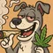 麻犬