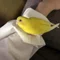 人間
