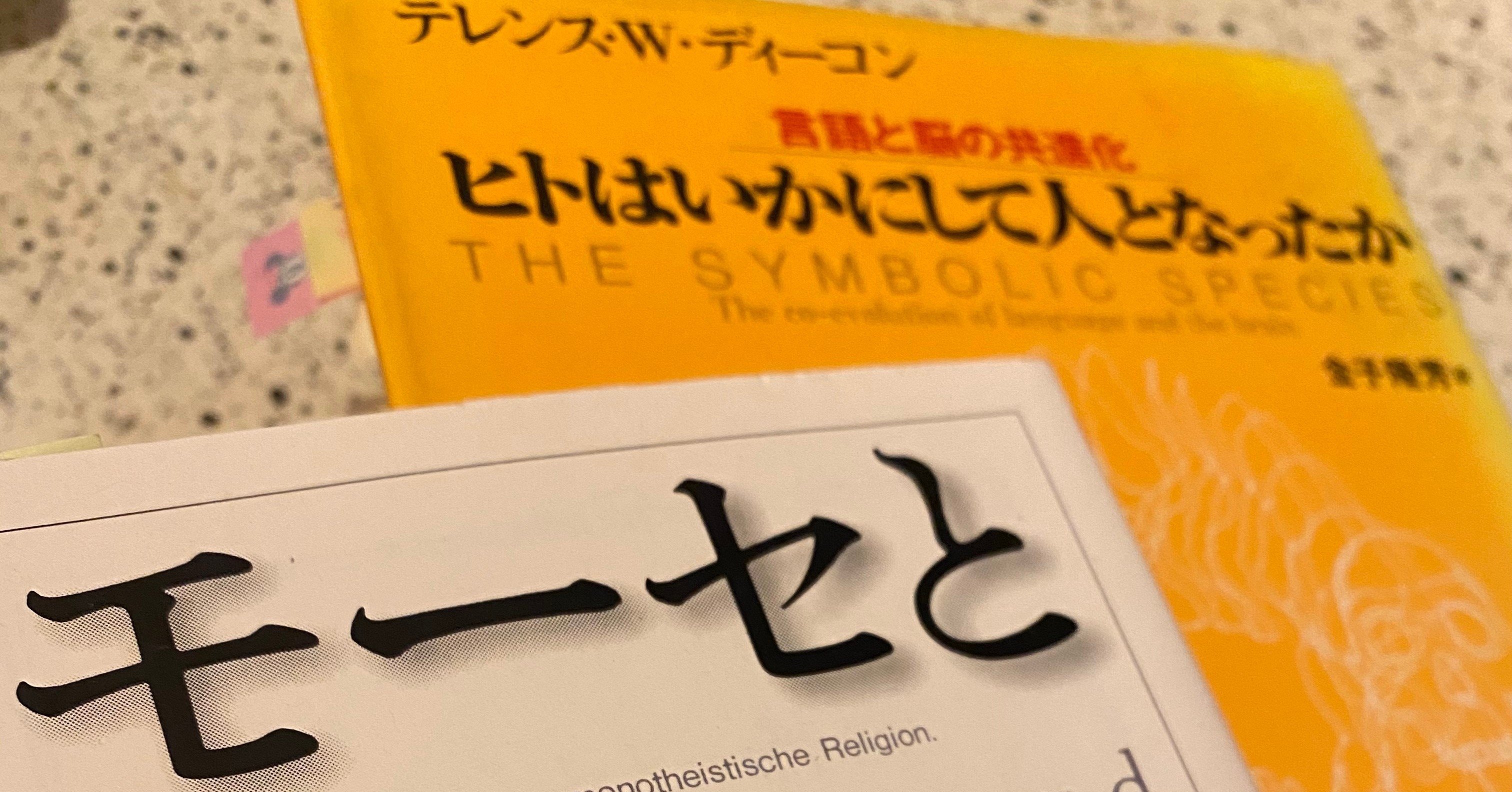 井筒『意味の深みへ』×丸山『生命と過剰』で深層意味論に
