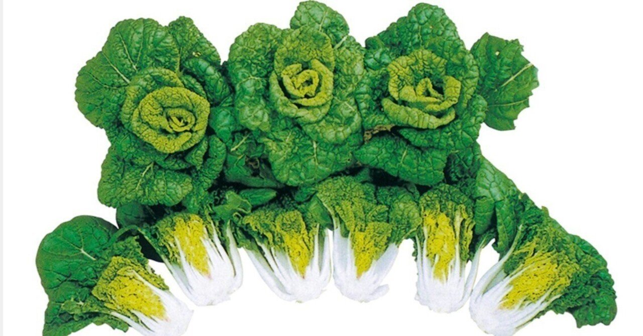 進学塾enaの小6入試直前必勝特訓のニュースから考えたアレコレ｜Kosuke