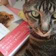 村上春樹 猫を棄てる みんなの感想文 3 村上春樹を巡る父との思い出 村上春樹 猫を棄てる 感想文コンテスト 書評 文藝春秋books