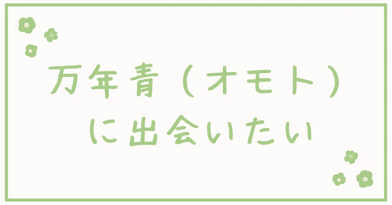 見出し画像