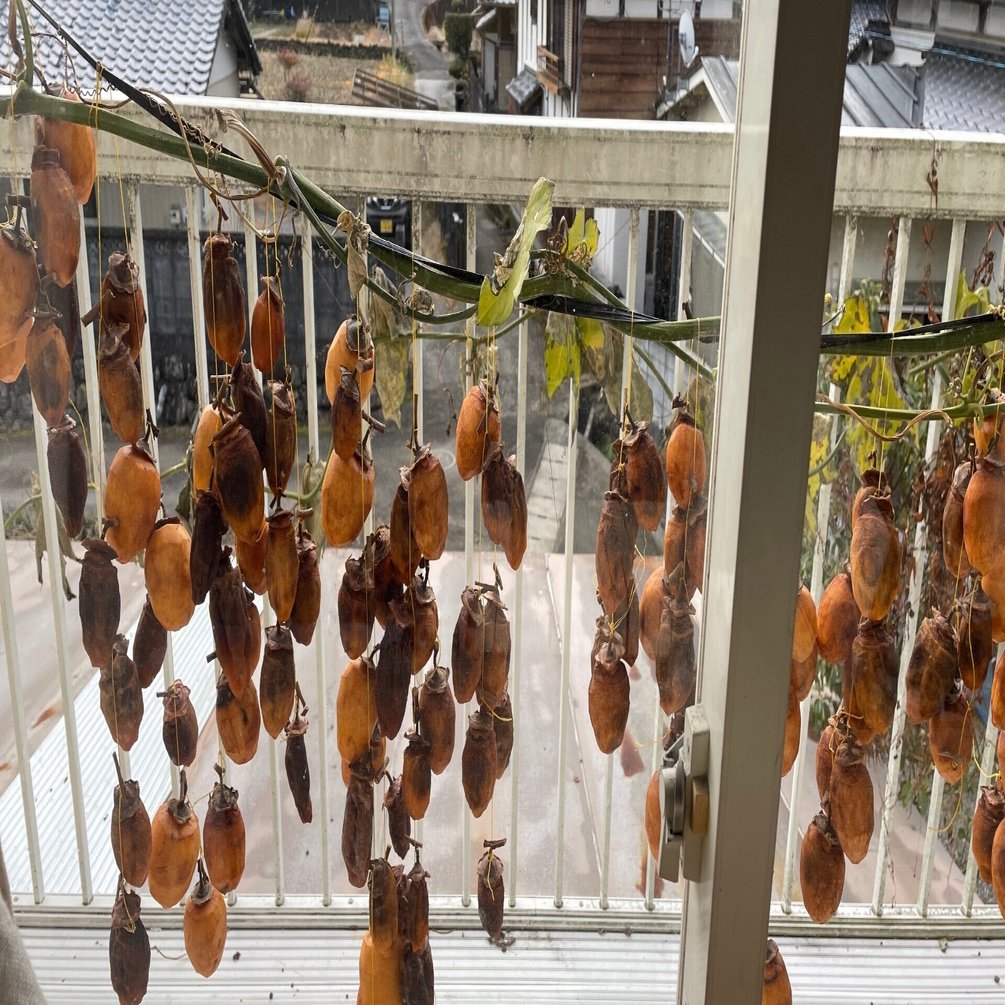 日記2025年12月２０日／温室作成５１／婚活中／ワンコインで始める仮想通貨投資６｜小田々農園 有機農業で自給自足の村おこしで持続可能な未来を