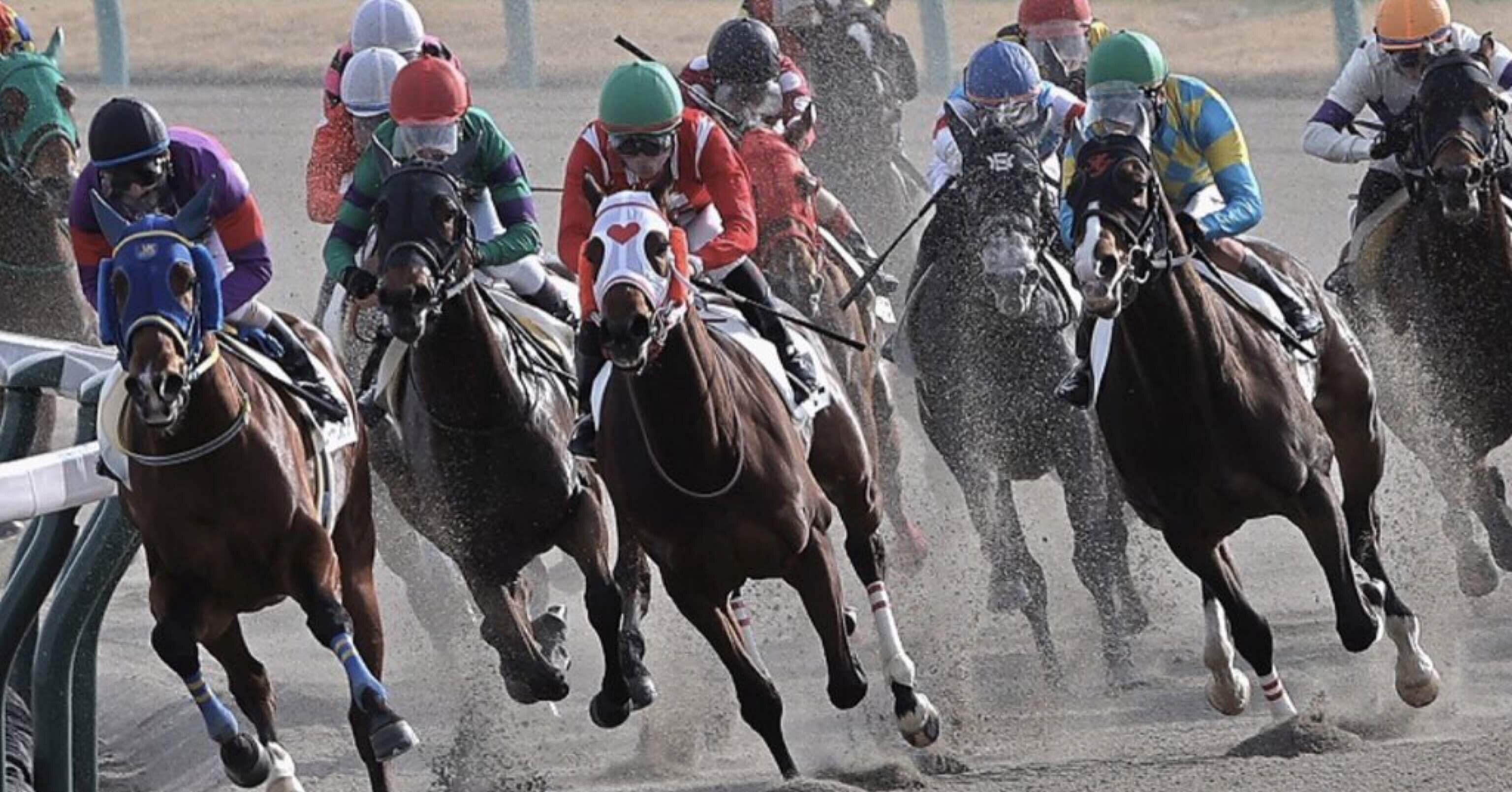 ☆中山4R☆2歳新馬【S】馬X予想｜うまっくす競馬🔥【競馬予想】