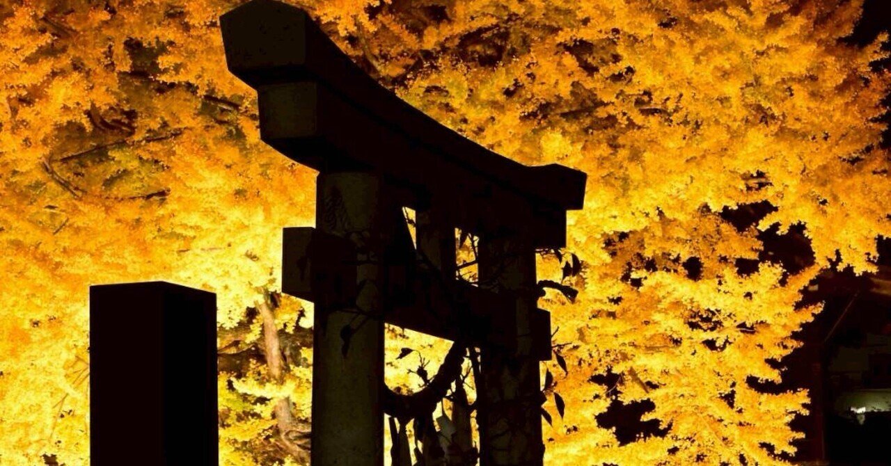 健康観をシフトチェンジした4年間|Simple