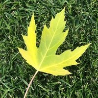 英語読み上げ算 北米編 たかゆき Note 英語読み上げ算 北米編 たかゆき Note
