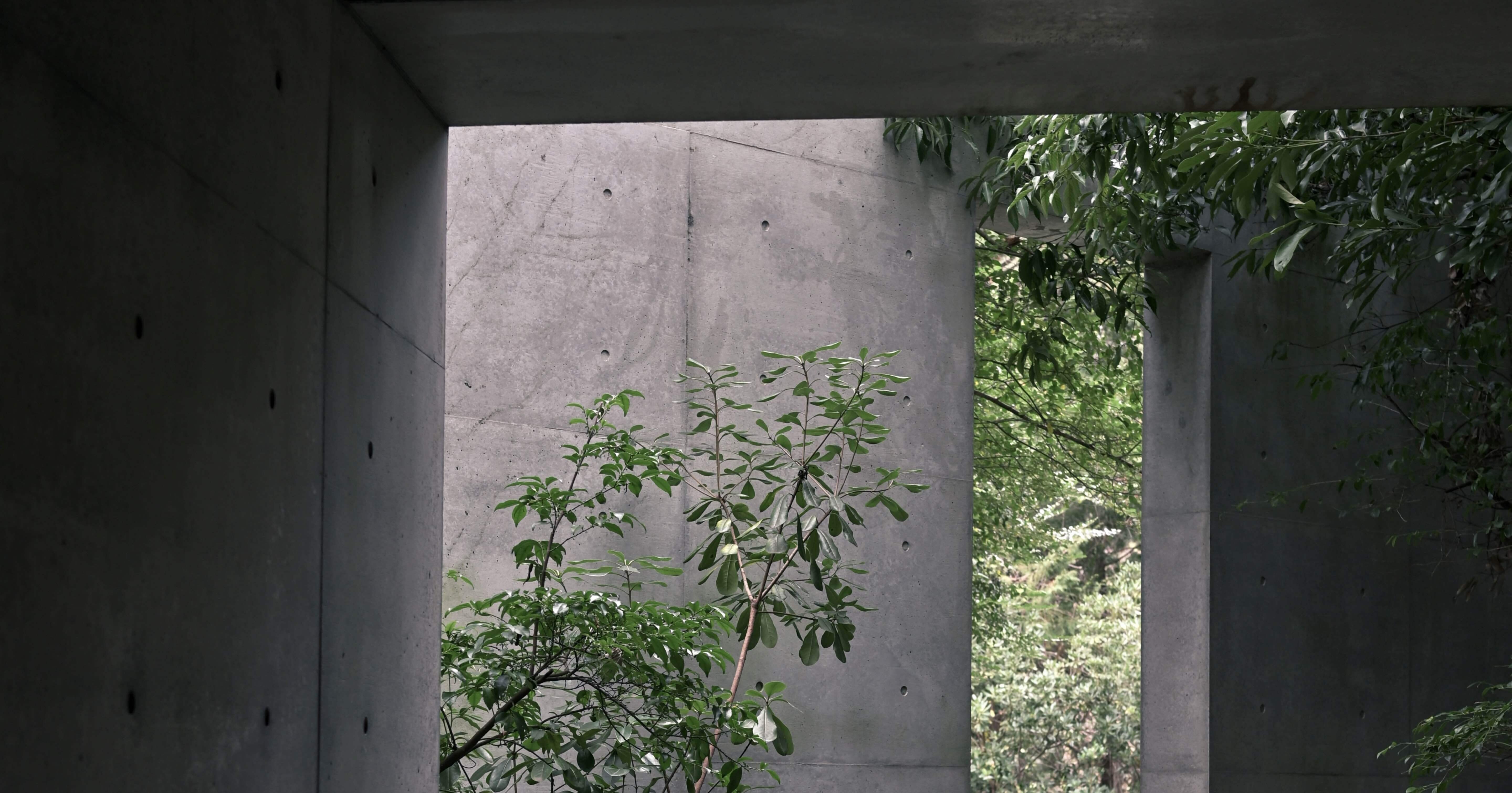 建築を撮る｜安藤忠雄｜Nikon Zf｜Ruri