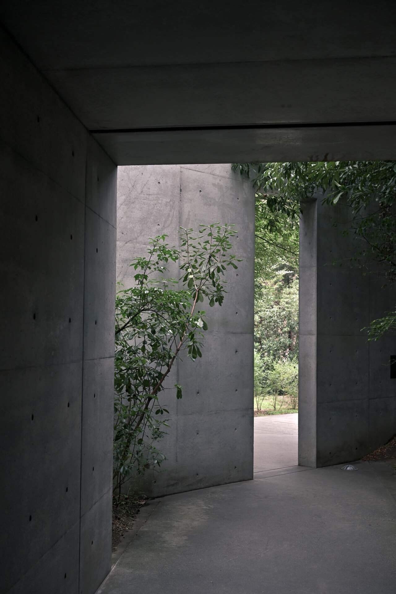 建築を撮る｜安藤忠雄｜Nikon Zf｜Ruri