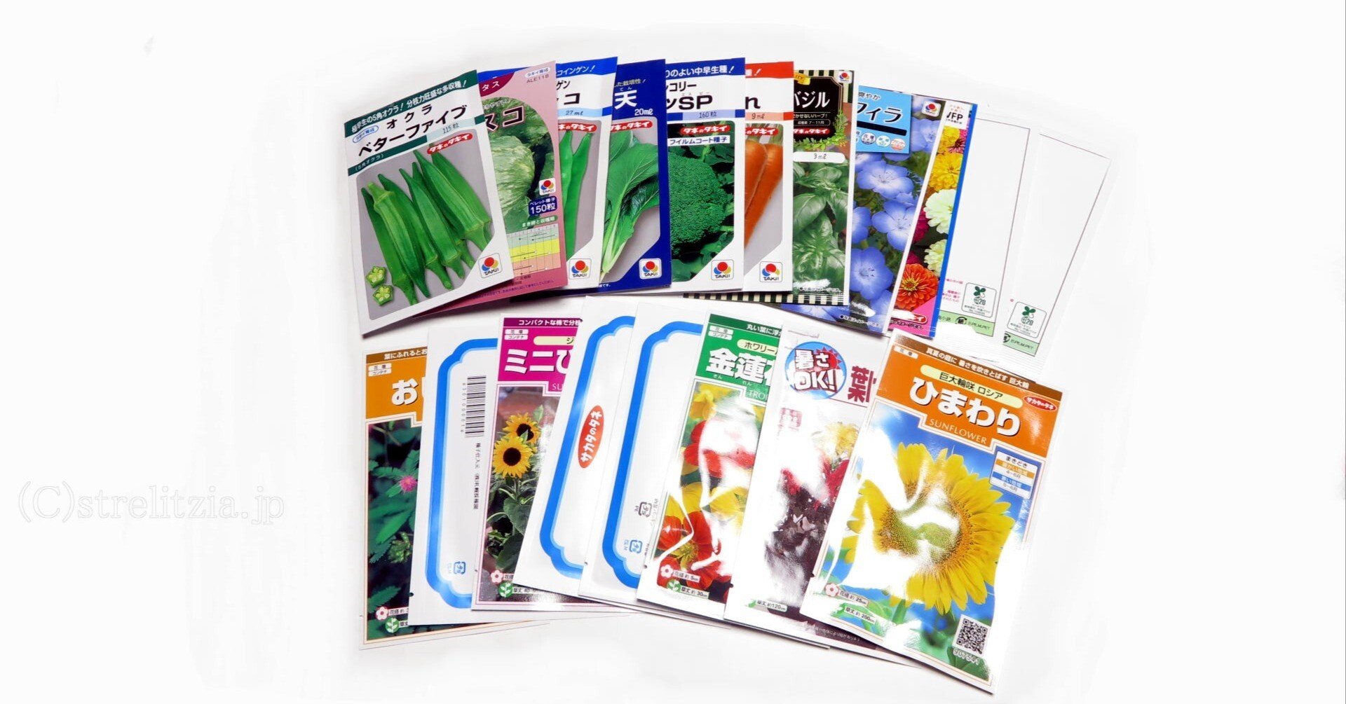 春の準備 種子説明｜極楽鳥花植物園