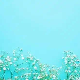 うそ子