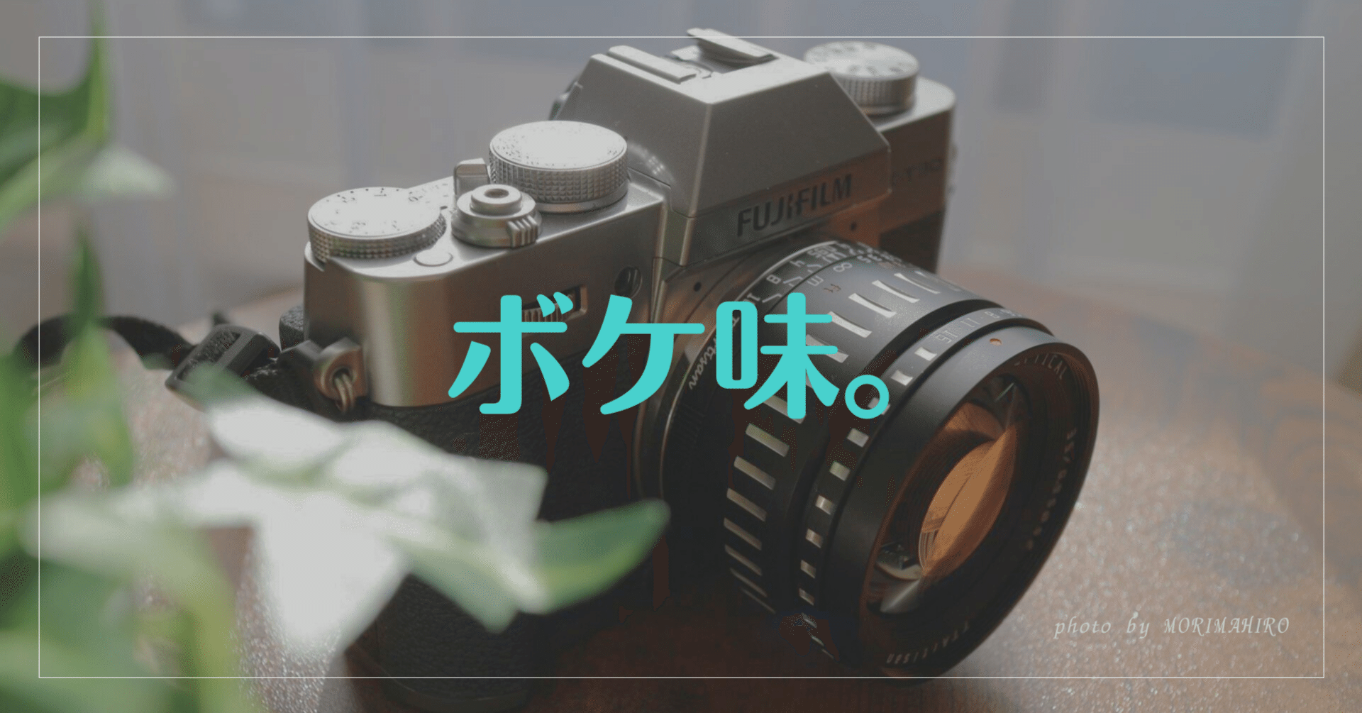 新たなレンズ── F0.95のボケ味。｜杜まひろ｜Mahiro. Mori
