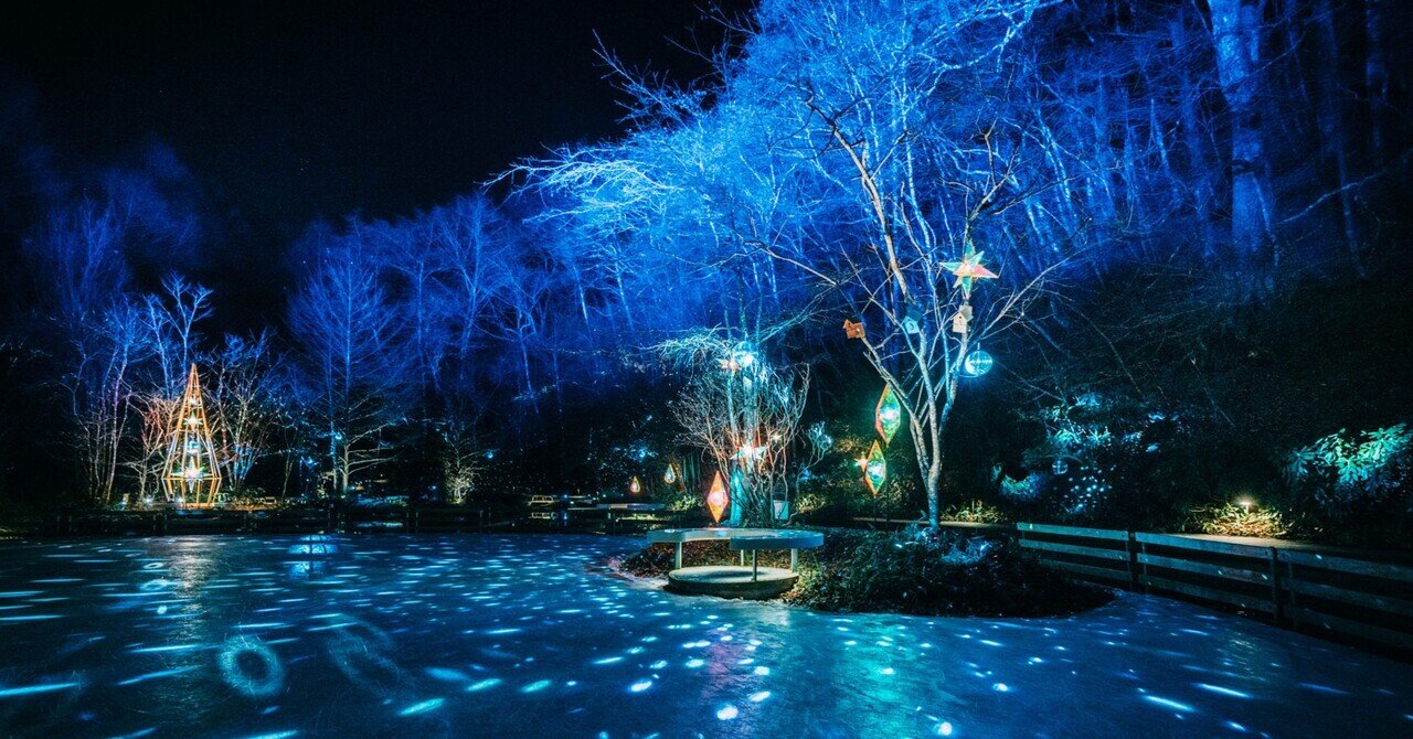 穴場イルミネーション】森で滑る光の体験!子連れ軽井沢ケラ池スケート