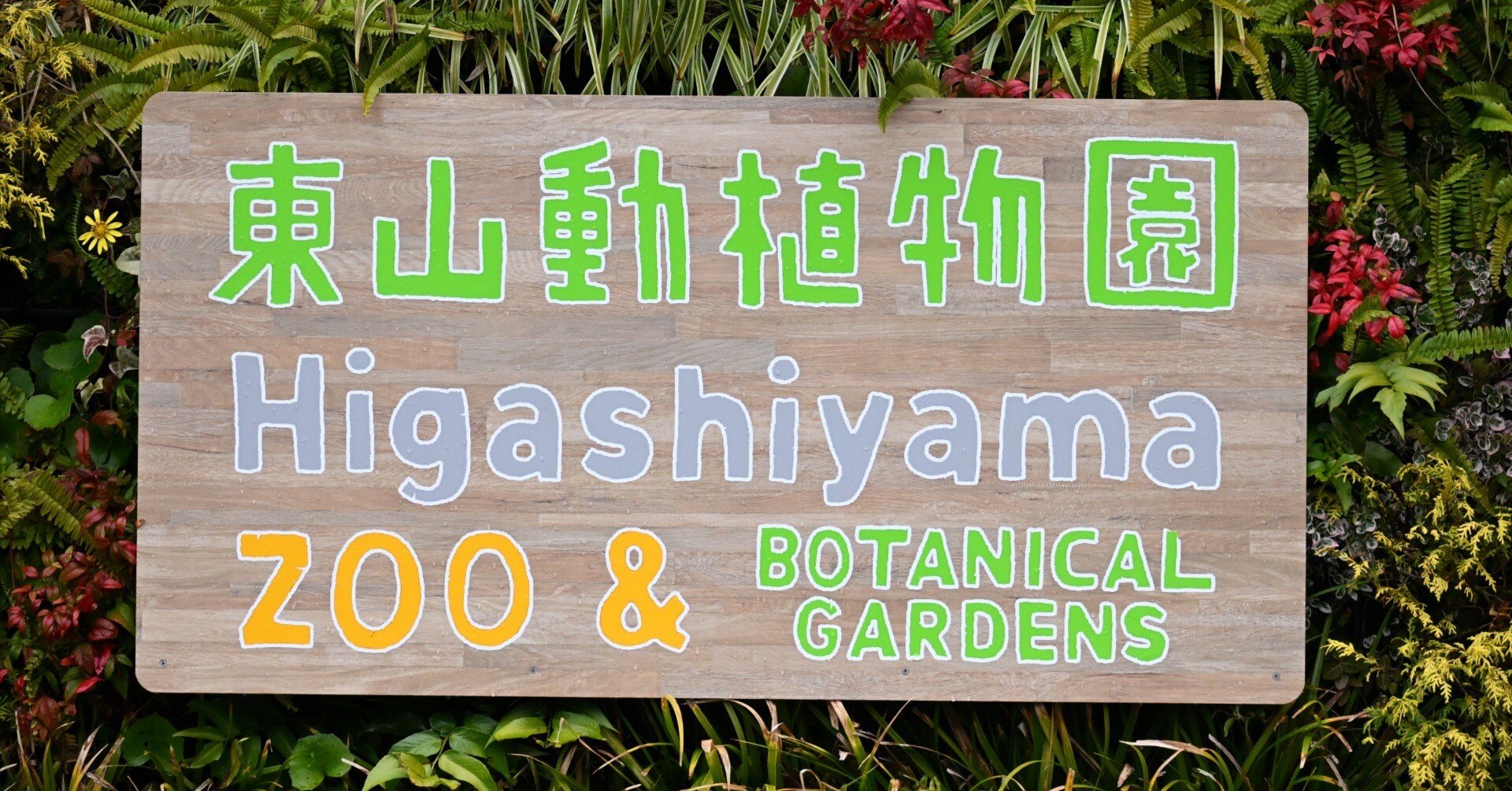 20251220_名古屋市東山動植物園【Nikon Z50IIと動物園】｜山ネズミ