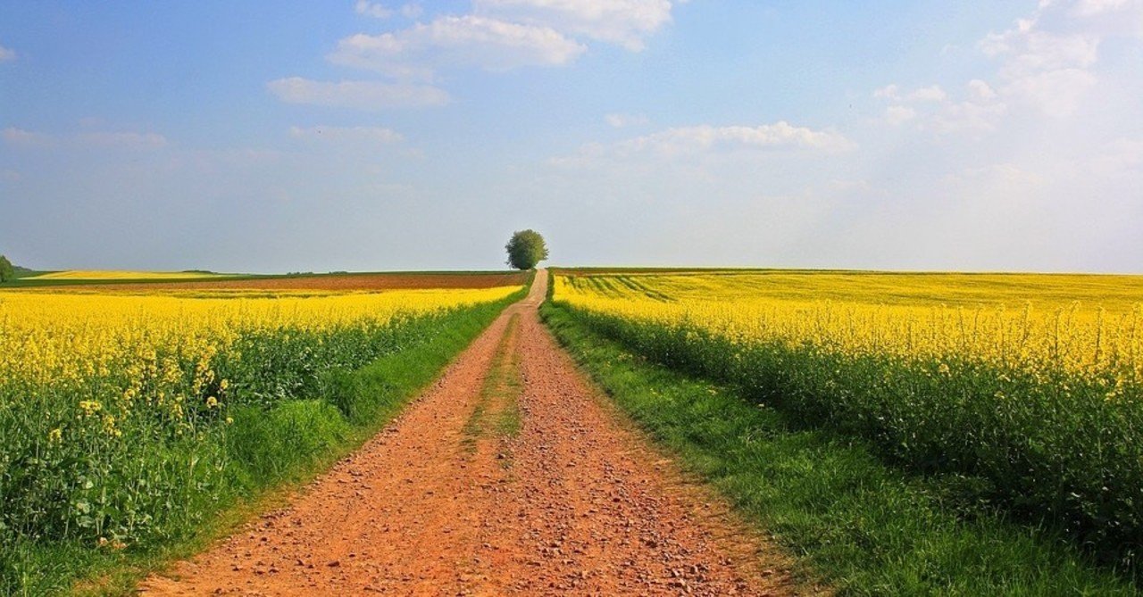 農業経営基盤強化準備金の損金算入制度を解説するnote【農業法人向け】｜肥田木優（会計士・税理士）