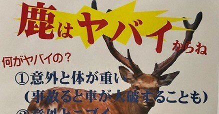 つぶやき】鹿はヤバイからね｜anne_co