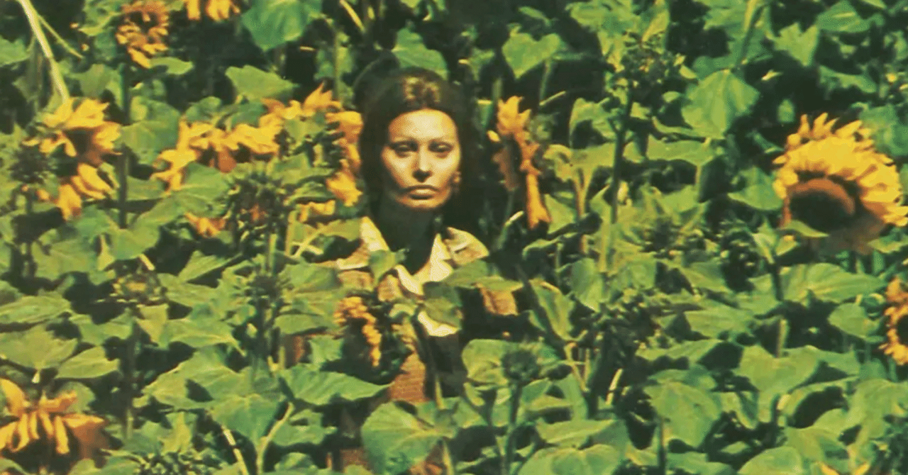 ヴィットリオ・デ・シーカ監督 『ひまわり』 ： 小さな存在への愛