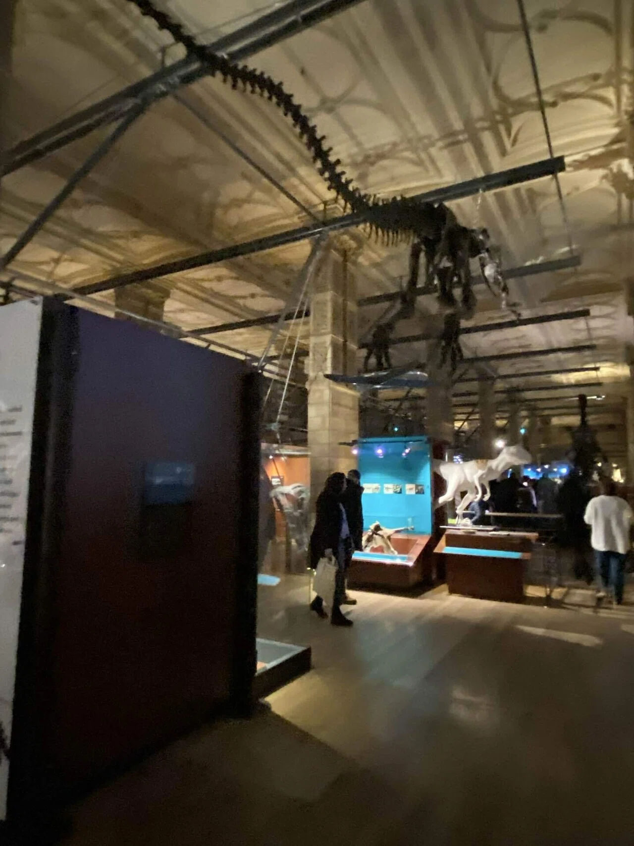 ロンドンおすすめ博物館】ロンドン自然史博物館（個人的好み、天然石