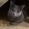 デロリンマン