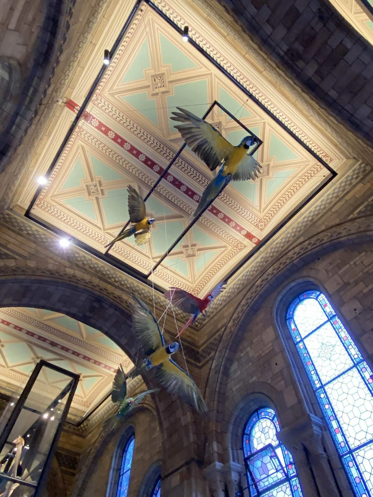 ロンドンおすすめ博物館】ロンドン自然史博物館（個人的好み、天然石