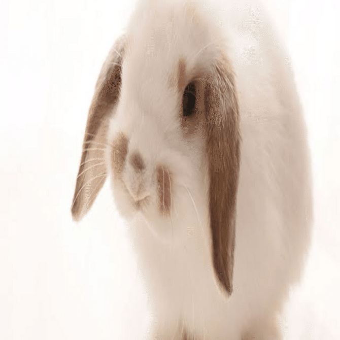 浦田スターク、 下から見るか？横から見るか？｜藤嶋