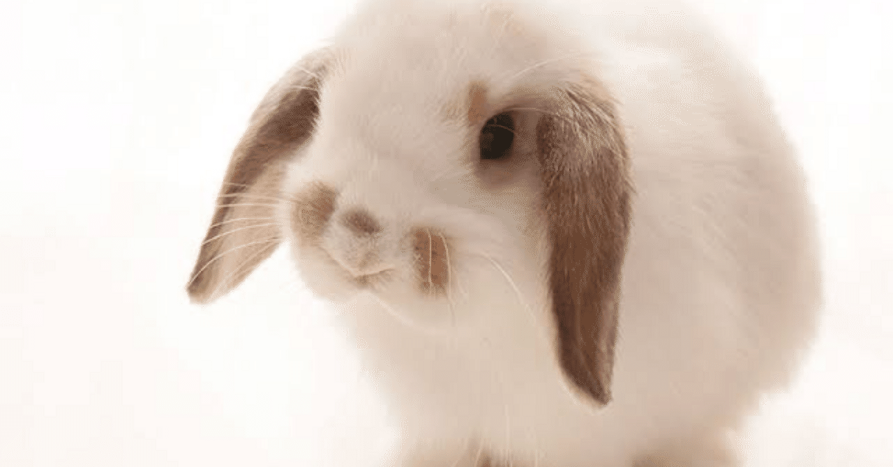 浦田スターク、 下から見るか？横から見るか？｜藤嶋