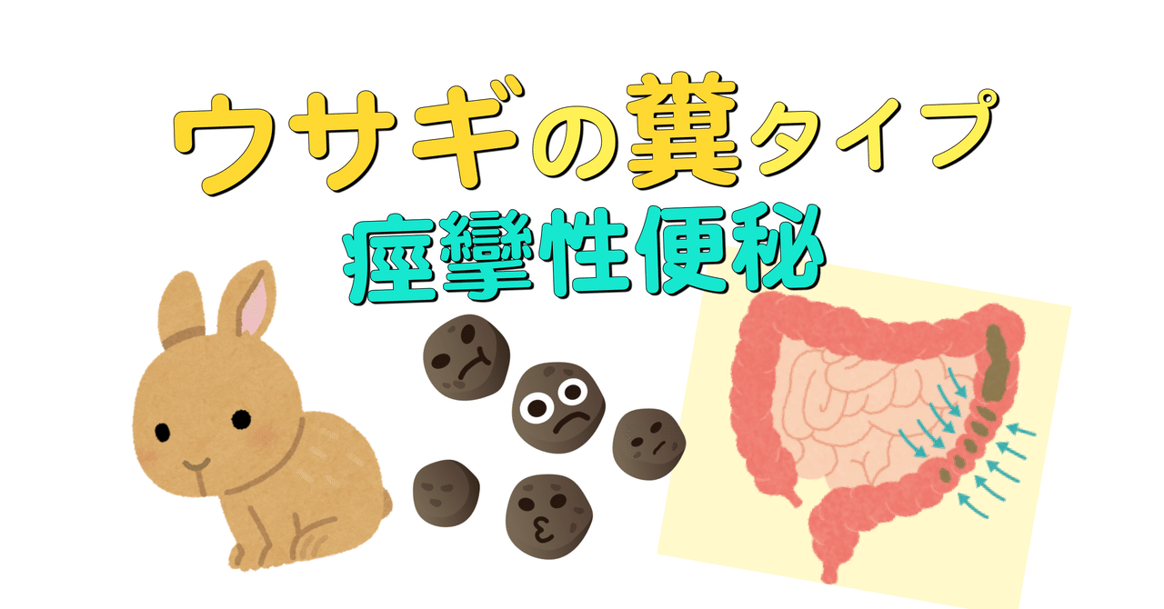 便秘1 ウサギの糞タイプ アレルギーとたたかう理学療法士 及川文宏 Note
