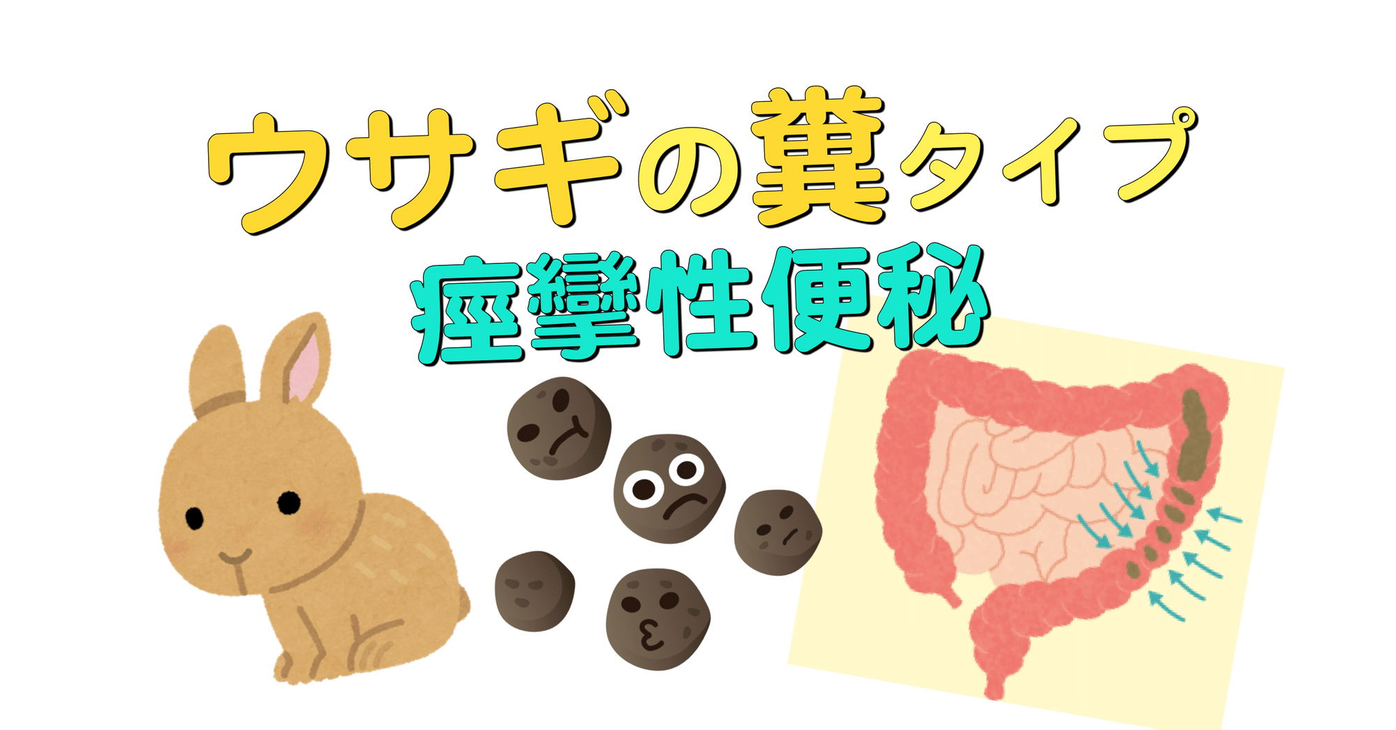 便秘1 ウサギの糞タイプ アレルギーとたたかう理学療法士 及川文宏 Note 便秘1 ウサギの糞タイプ アレルギーとたたかう理学療法士 及川文宏 Note
