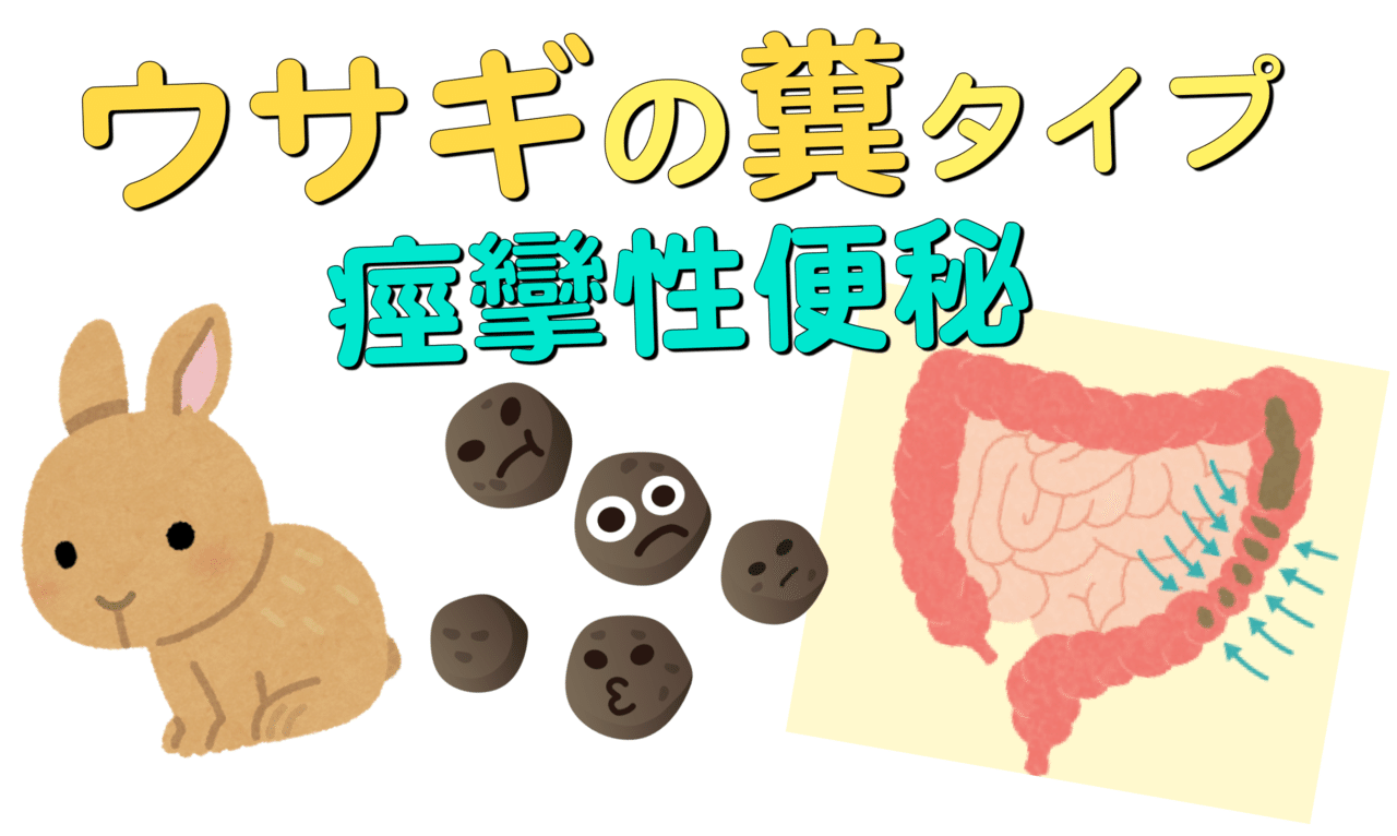 便秘1 ウサギの糞タイプ アレルギーとたたかう理学療法士 及川文宏 Note