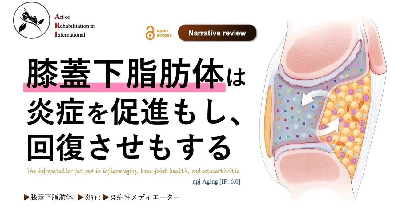 The infrapatellar fat pad both promotes and resolves inflammation｜Super ...