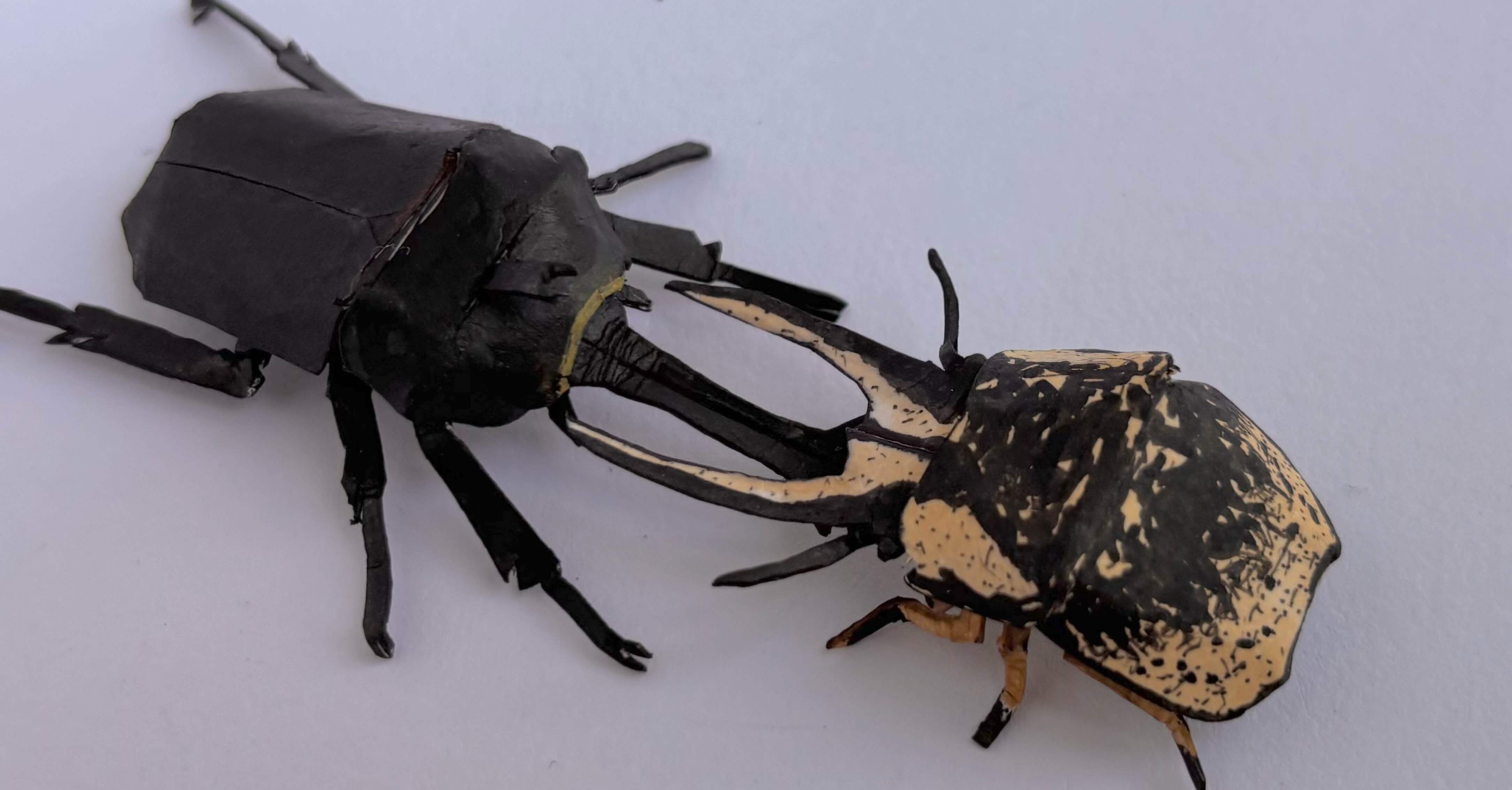 ペーパーシールドバグズ#30】クワガタマルカメムシ｜ふぇふぇ