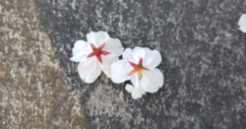 慕われる人の特徴 たった一つのことを気を付けるだけで尊敬される人になる ちょこひぐ note