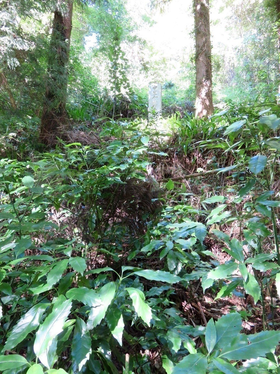 高尾山の妙音谷草庵と中里介山｜Kent Nishihara