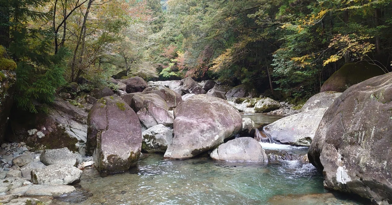 Fly Area Gifu Prefecture Managed Fishing Spot: Mino Fishing Area Trip (November ...