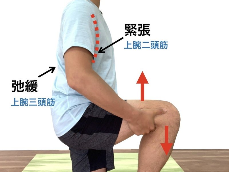 安全な筋肉の緩め方 相反神経抑制とは Naoto Note