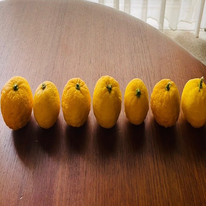 柚子が7つで「YUZU7」｜脚本家・今井雅子📚言葉遊びが好きな物書き