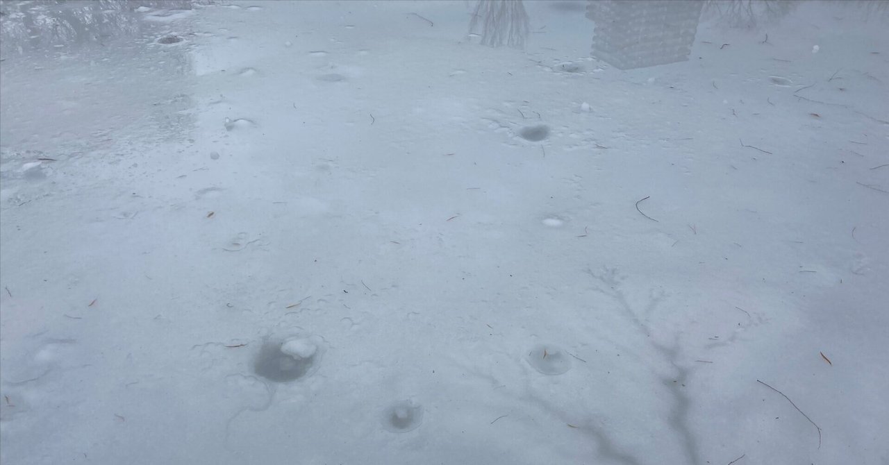 個人通信”Simple Dreams”1453号｜石川晋