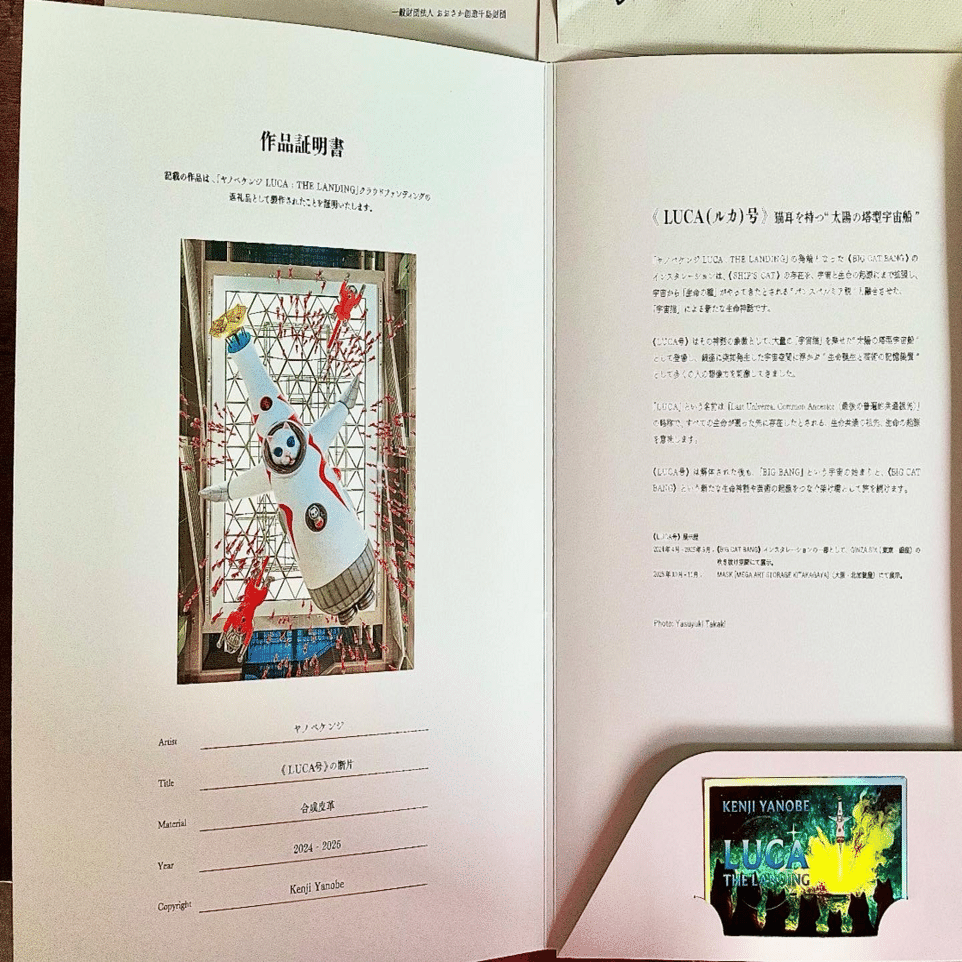 やっと届きました✨🫶｜Jellybean03