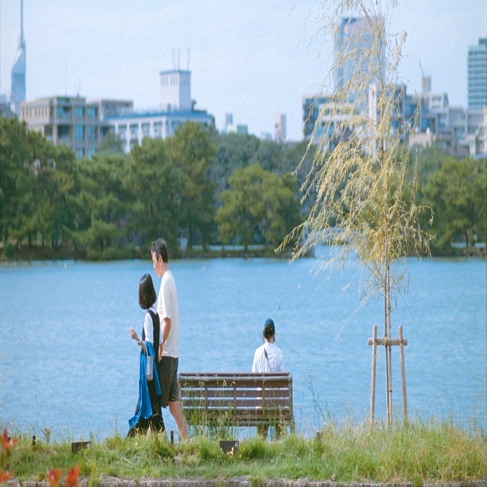 言い訳できない最強フィルムカメラ｜Nikon F100レビュー｜Kenta Mizune