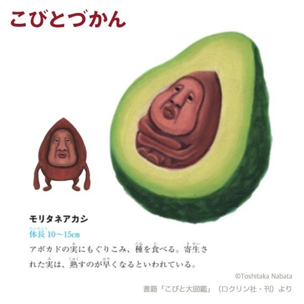 1日1コビト紹介 モリタネアカシ こびとづかん公式note Note 1日1コビト紹介 モリタネアカシ こびとづかん公式note Note