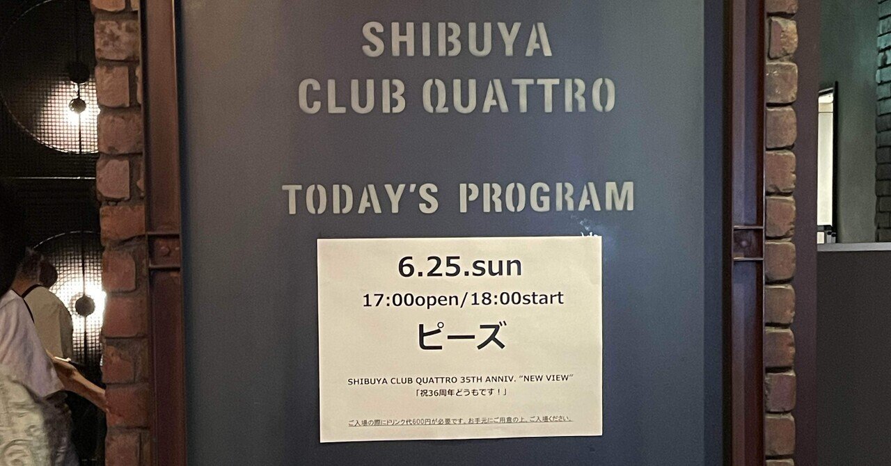 ミュージック回顧録 Part2（その2）｜visionario