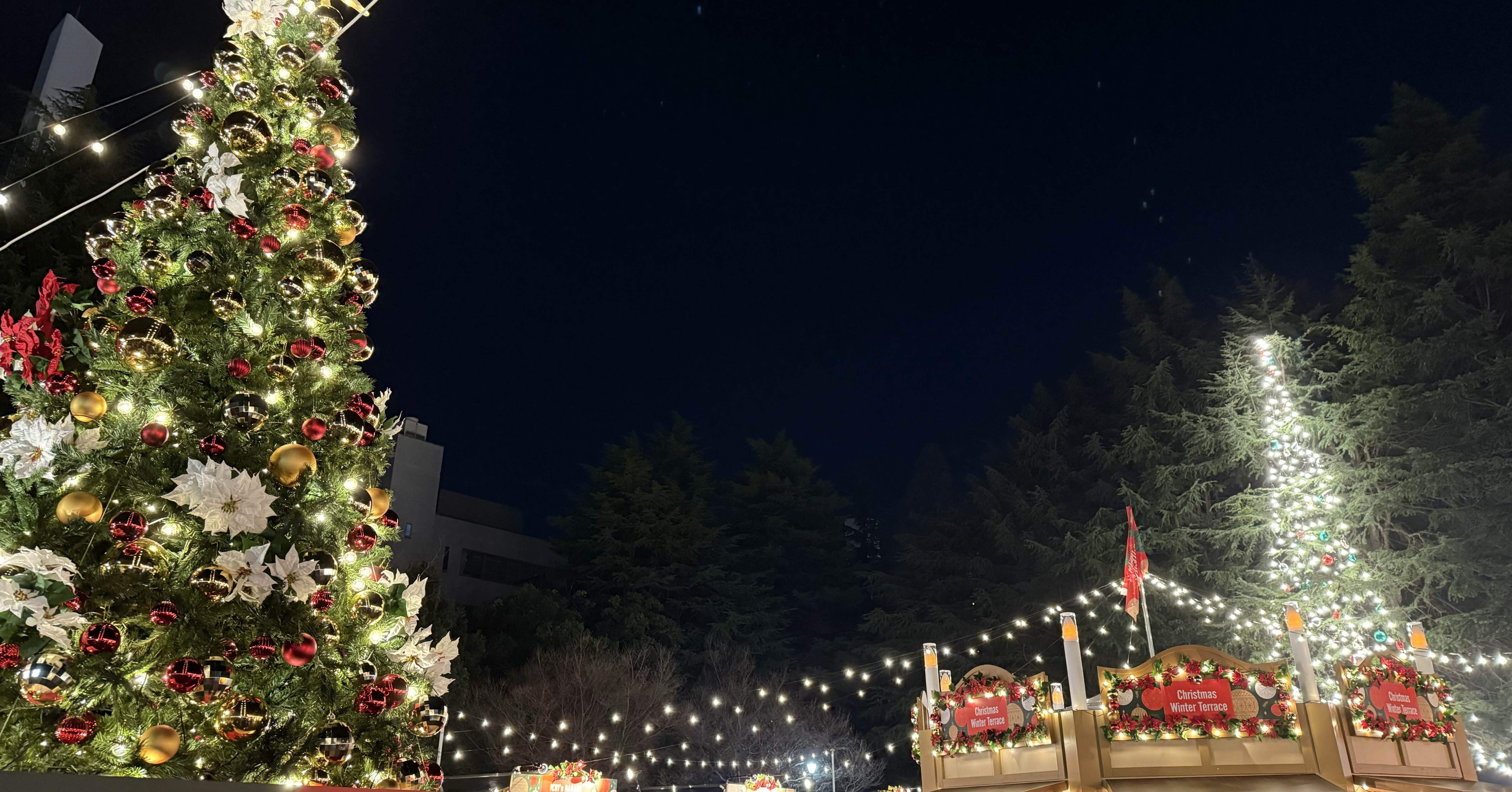仙台のクリスマス♪｜仙台盛り上げ隊・sakku