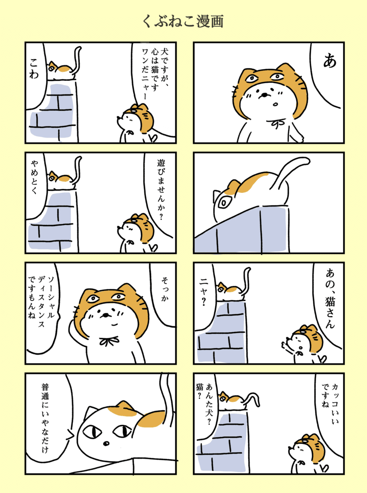 くぶねこは、猫に憧れている犬です。九分猫のつもりで生きてます。