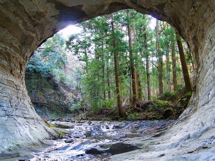 滝ヨガ の新着タグ記事一覧 Note つくる つながる とどける