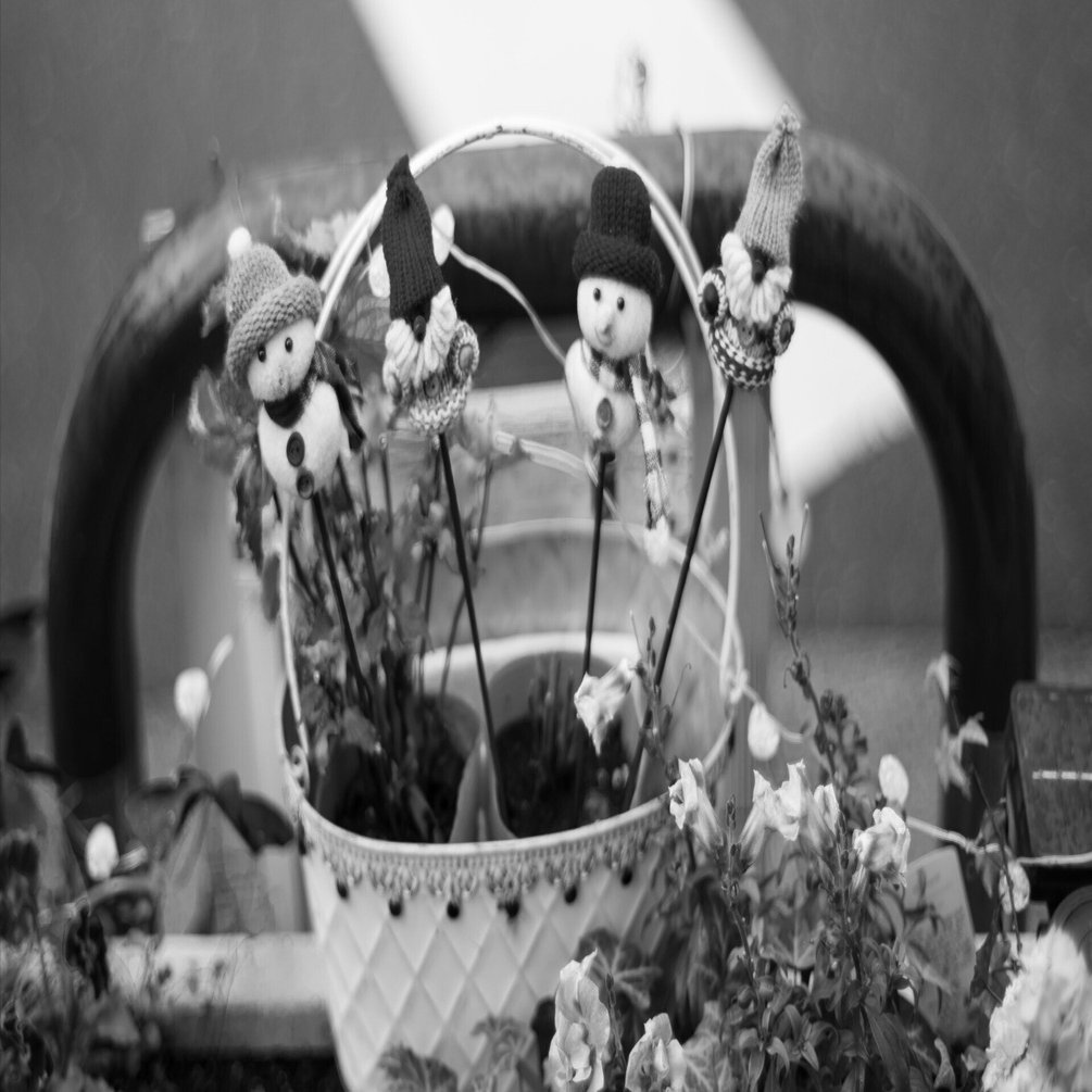 写真におけるモノクロ表現（Zeiss Planar 1,4/50 ZF）｜千里