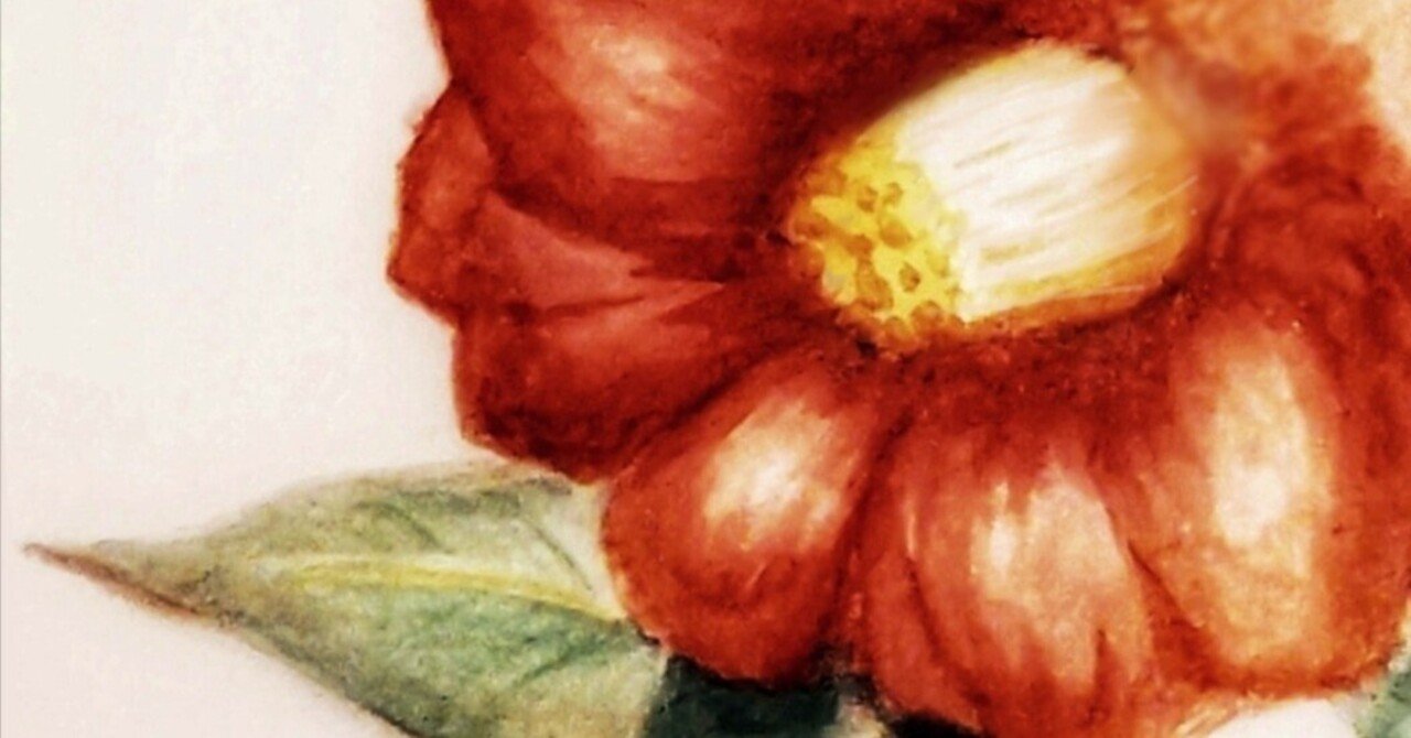 椿』水彩画｜せきぞう、