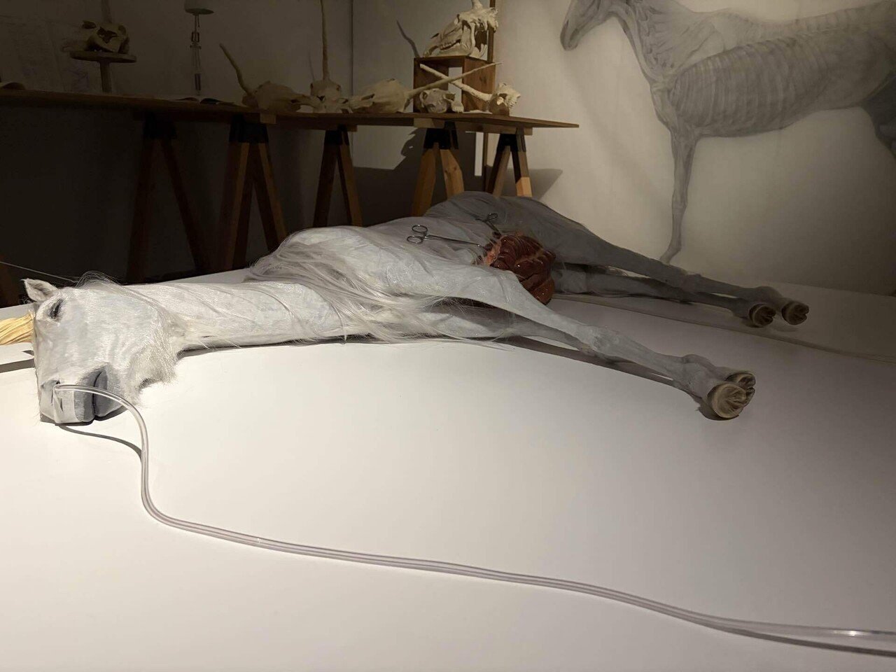 平野真美作『蘇生するユニコーン』を観て｜鯨ヶ岬勇士