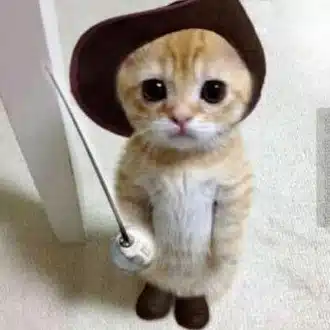 まつゆう