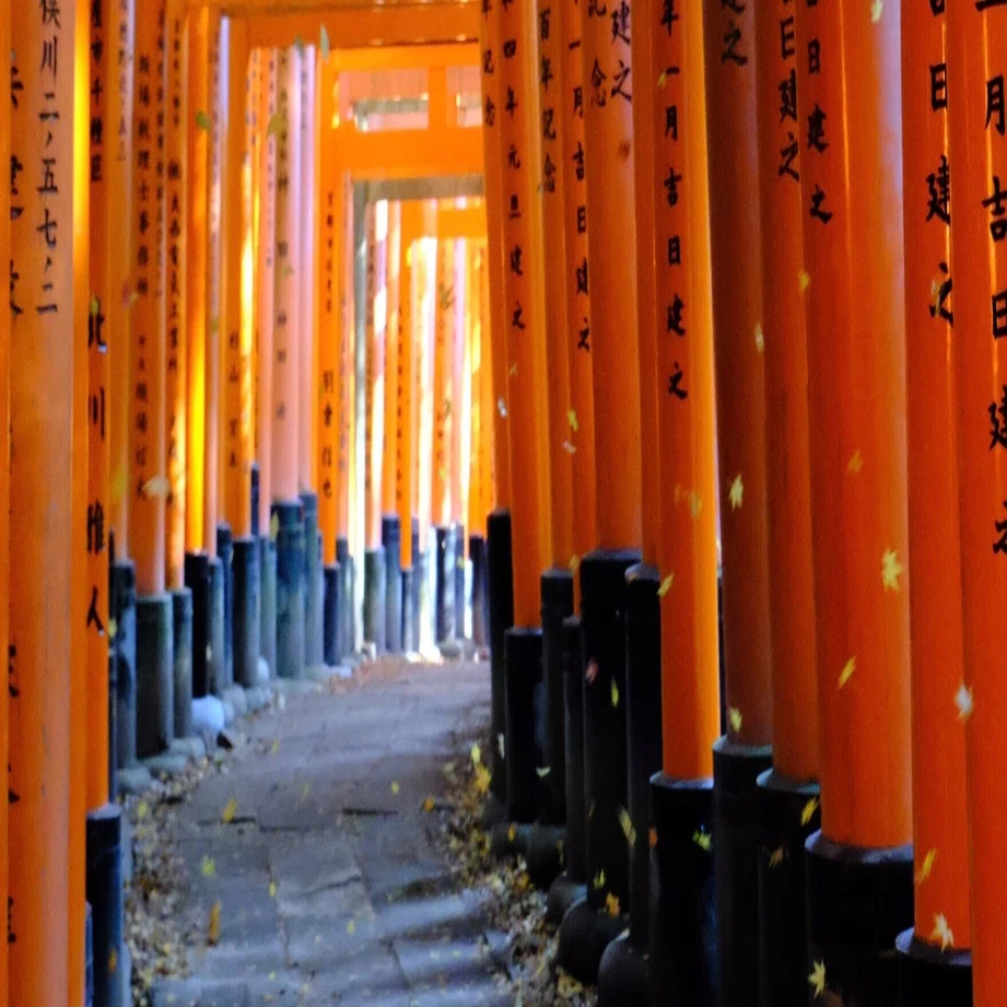 ⛩️017 伏見稲荷大社（伏見区＠京都）｜朱の鳥居に導かれ｜稲荷山へ