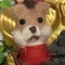 加持けんぞう